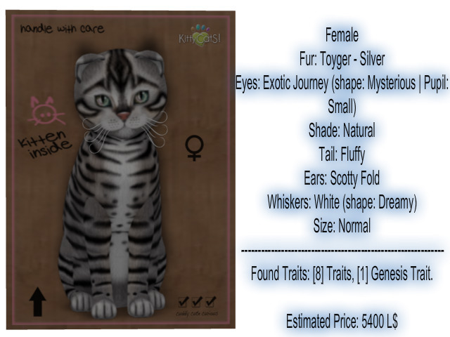 KittyCatS Box - 004 Silver