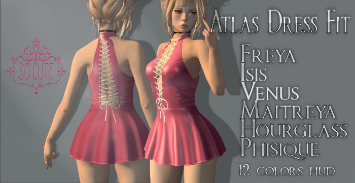 SoCute-  Atlas Dress Fit