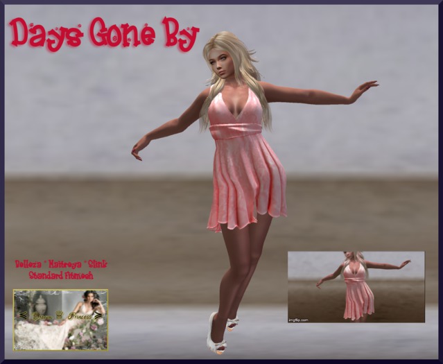 !*Dream Princess*! Days Gone By   (box)