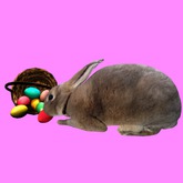 Spilled Easter Basket & Bunny, 11 Li,Boxed