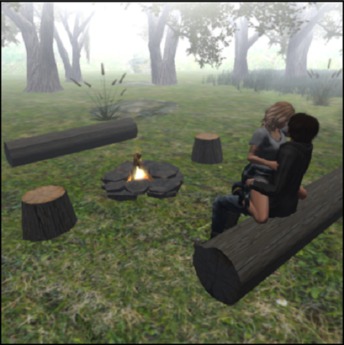 camp fire seating