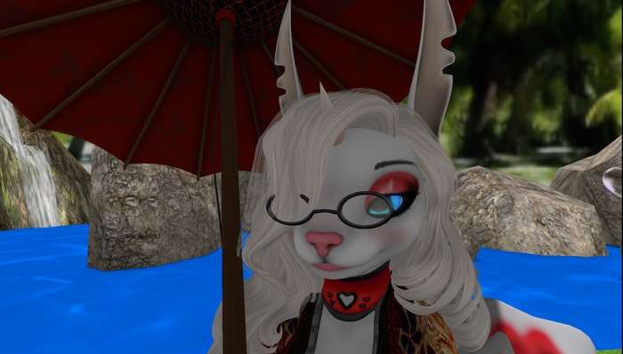 Paws Feline Glasses Pack (Boxed)