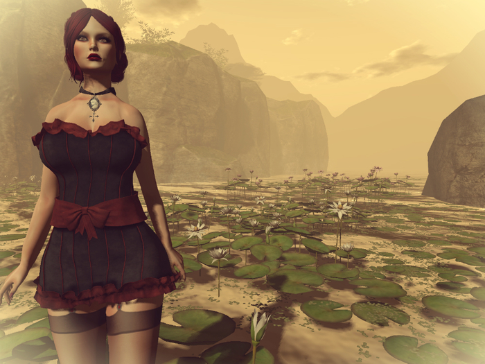 *Magnolia* Lizette Corset Dress