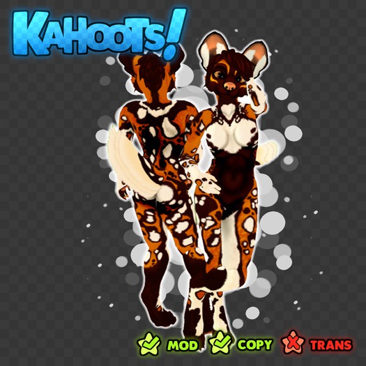 KAHOOTS.PaintedDog - Orange