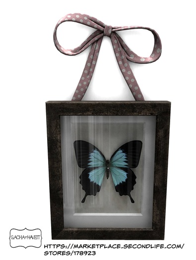 3. Apple Fall Ulysses Butterfly