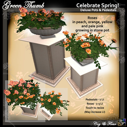 C&F Planted Roses w Pedestals - Peachy 4 LI