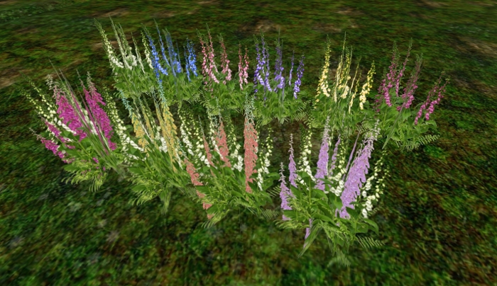 Foxglove multi color