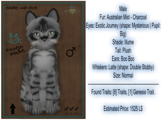 KittyCatS Box - Australian Mist - Charcoal 8T M ID: 31572519-ed