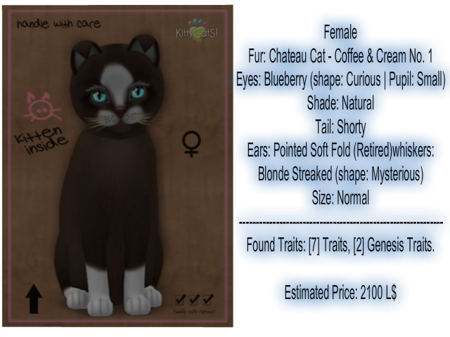 KittyCatS Box - 7T KittyCatS Box