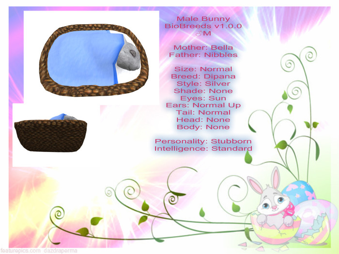 BB Bunny Box