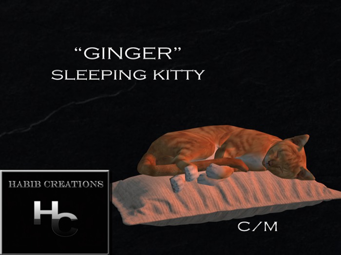 HC Sleeping Kitty GINGER