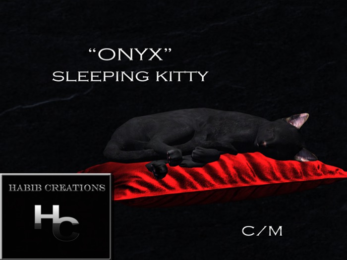HC Sleeping Kitty ONYX(C/M) BOXED