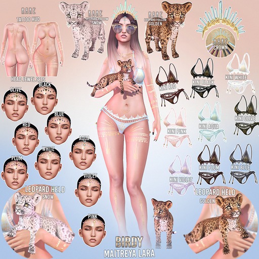 Birdy - Festival - Leopard Follow - Golden RARE