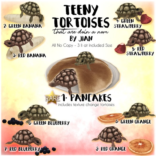 JIAN Teeny Tortoises 1. Pancakes RARE