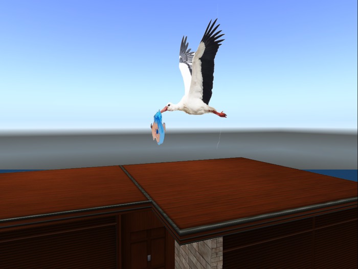 * Flying stork * - animated -  Boy