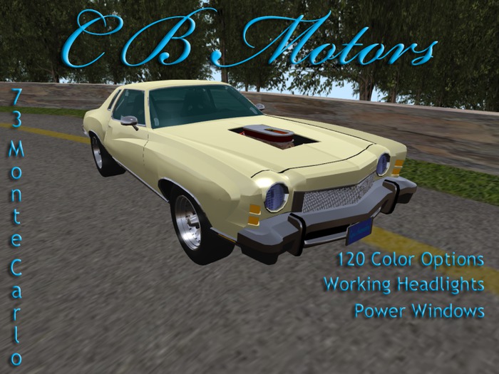 73 CBM Monte Carlo