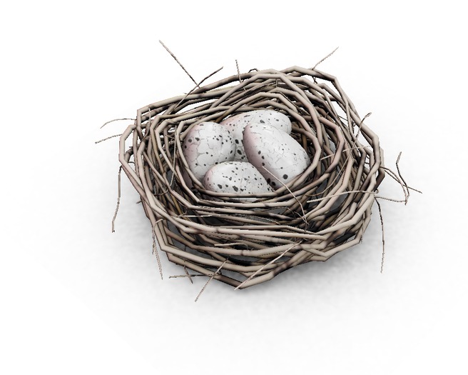 dust bunny . robin nest . natural . boxed