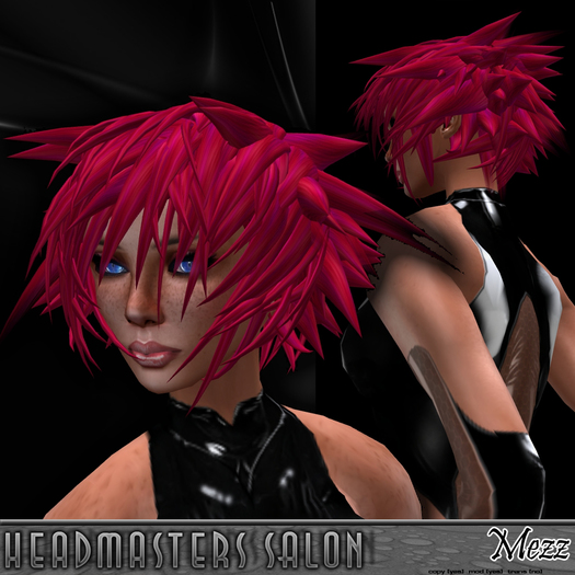 Headmaster Hair Studio - Mezz Hair - All Hair Value Pack
