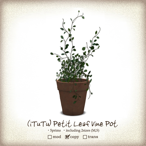 (iTuTu) petit leaf vine pot