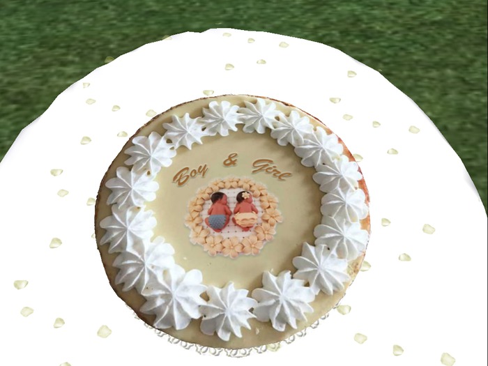 Cake Twins Boy & Girl