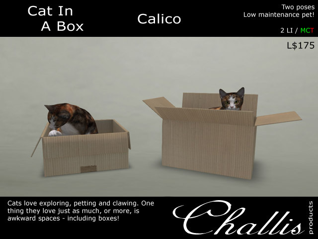 (Challis) Cat In A Box  -ALL- (DEMO)(BOXED)