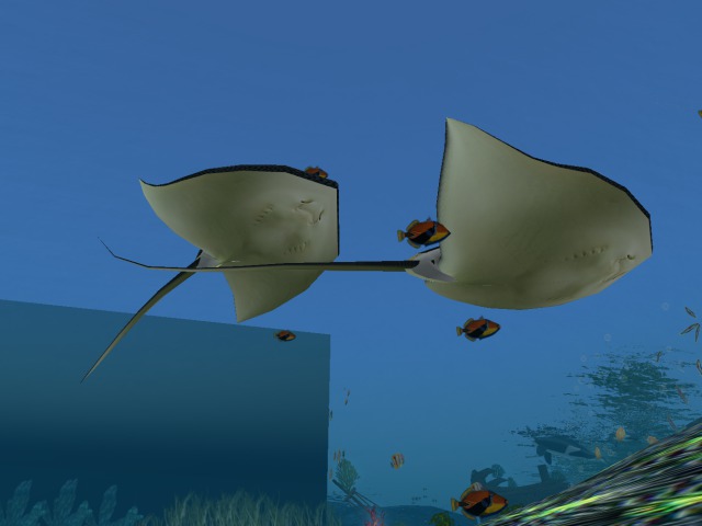 Stingray - moves in a circle