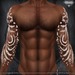 Aestheticwarpaintmystic3