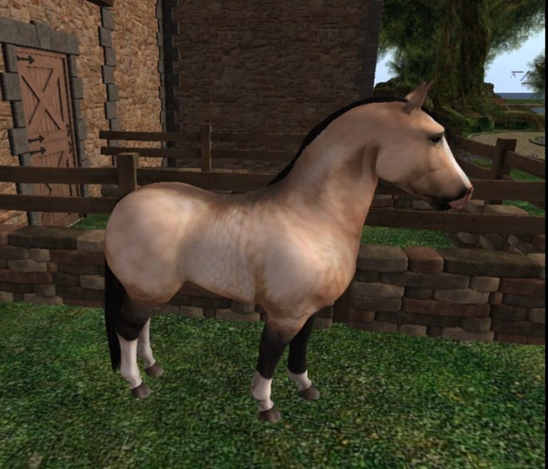 Pony Mod Slender Shape