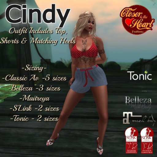 Cindy  Shorts Outfit**
