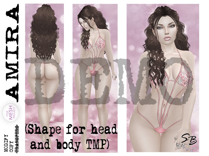:SB:.AMIRA  Shape -TMP\\Basic Body \Head Classic (Deluxe)DEMO