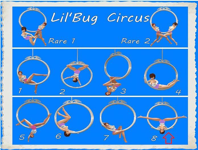 Lil'Bug Circus 1 RARE