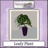 Serendipity Designs - Lodi Leafy House Plant
