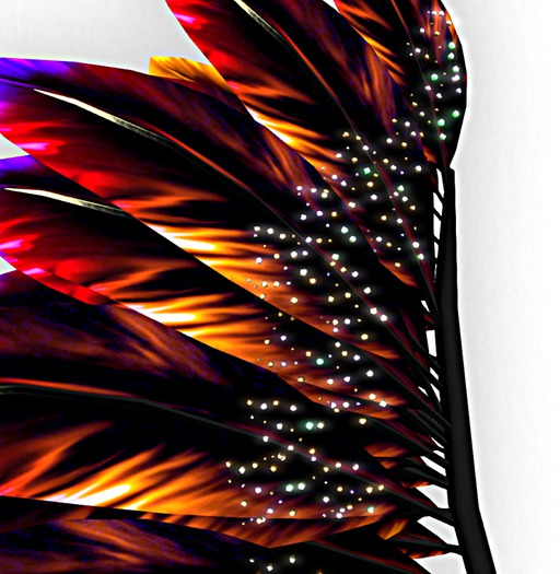.::3RDEyeDesigns::. Temptress Wings ~ Tropical Delight