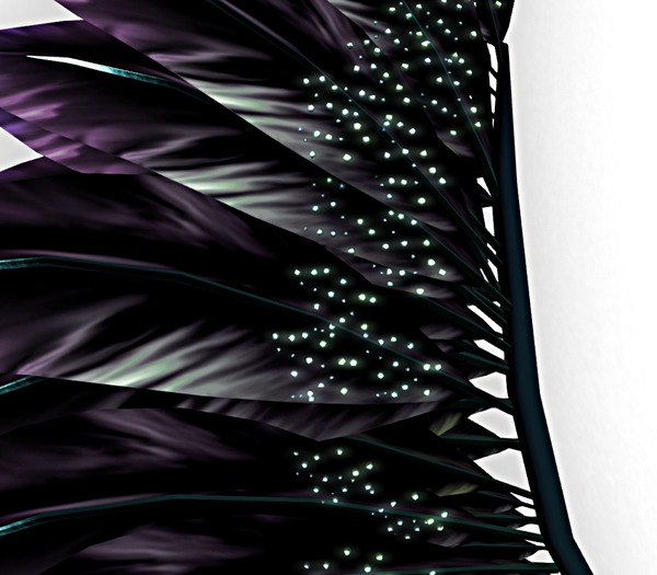 .::Princess Keyz::. Temptress WIngs ~ Shallow Elegance