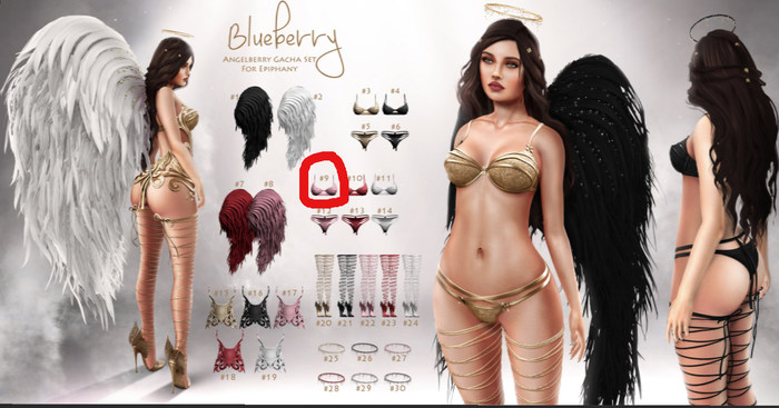 #9 Blueberry - Angelberry -Common- Bra - Sugar *Maitreya*