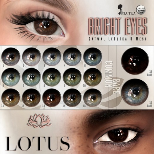 LOTUS. Bright Eyes 03 BOX *unisex*