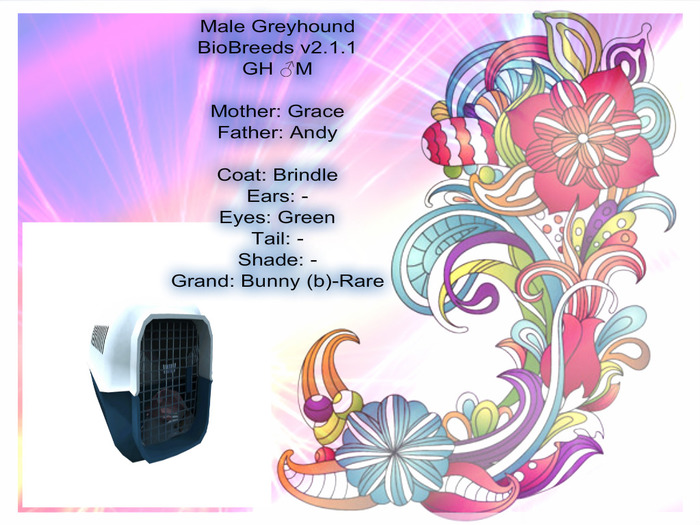 BB GH Box