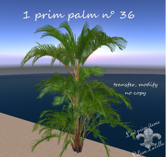 1 prim palm n 36
