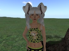 Puppy Tank, Leggings and Shoes Fat Pack Boxed