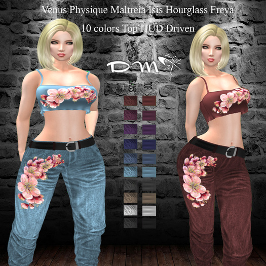 DM Design Dionis Outfit 10 colors Hud 1