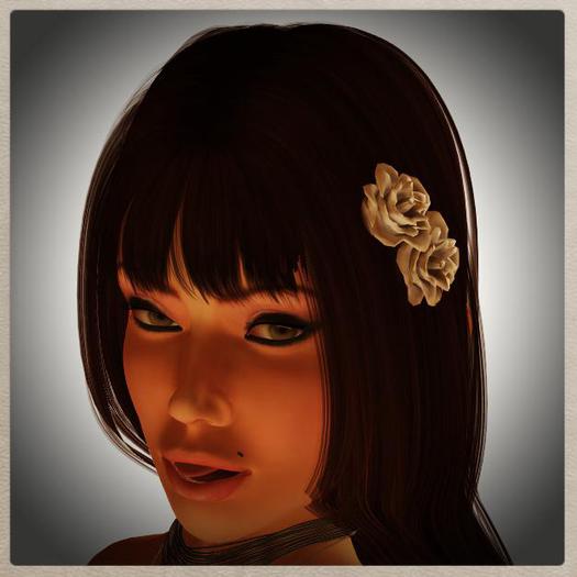 Hair Roses