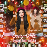 *Besom Hair~ Sugar Cookie #18 Browns