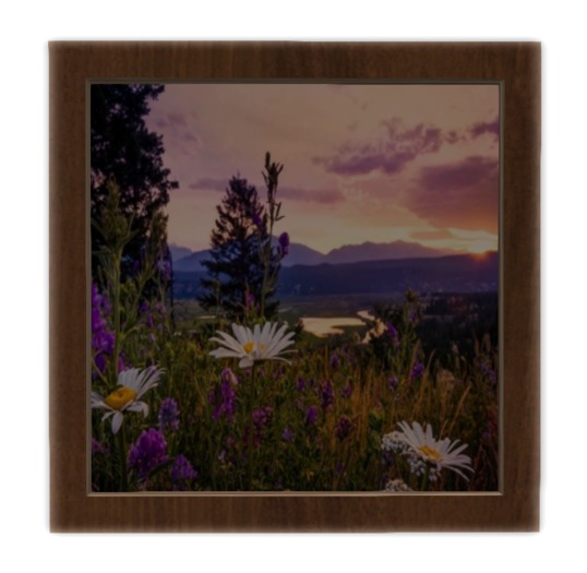 Picture_SAMMER_SUNSET