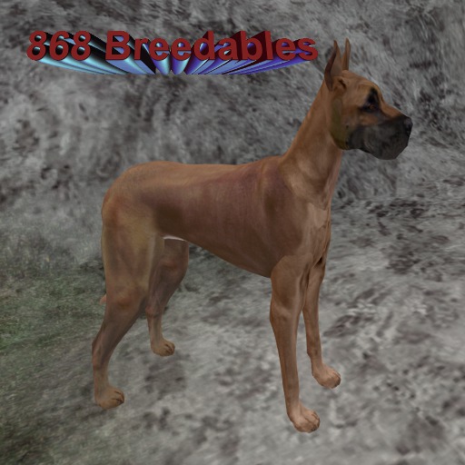 BioBreeds 4T GD Female