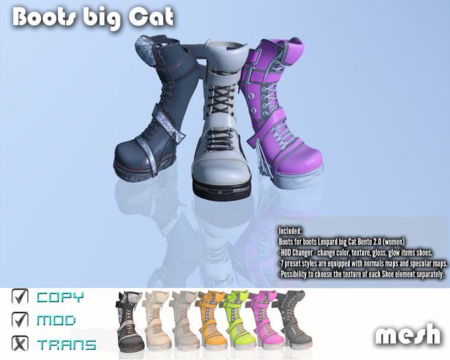 Boots big Cat