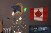 Flag Art - Canada