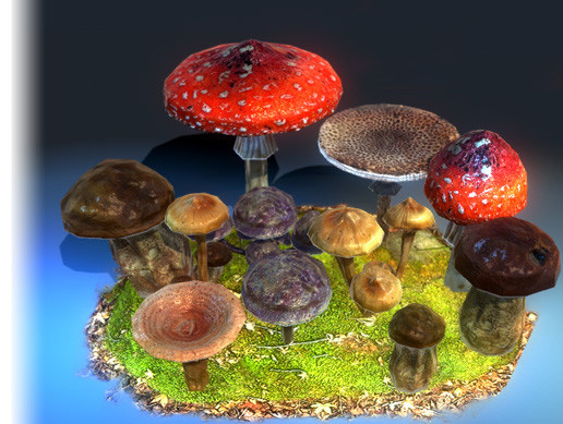 Mashroom Pack Mesh Full Perm