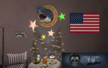 Flag Art -  USA