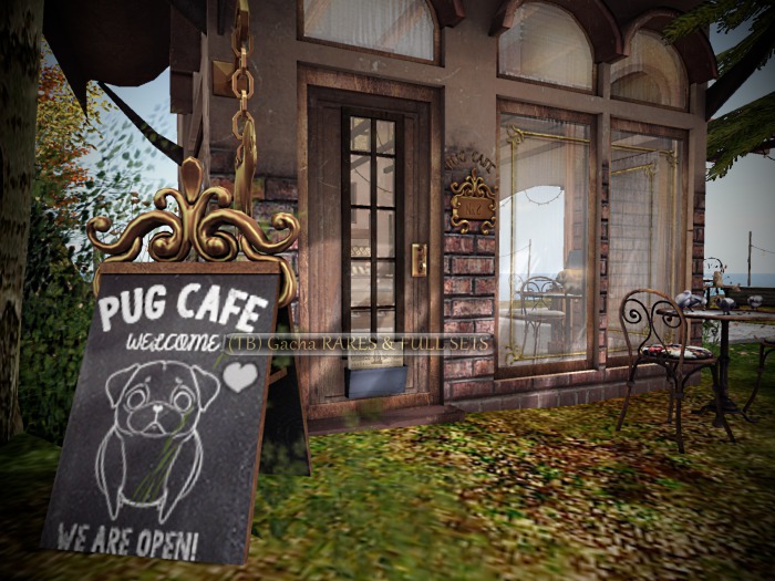 Birdy - Pug Cafe (FULL SET)