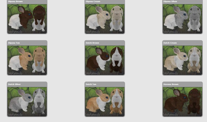 BB Bunny Box 
